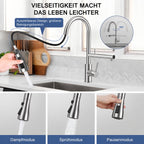 FEELSO Wasserhahn Küche Ausziehbar, 360°Drehbare Küchenarmatur mit Filter, Hochdruck Spültischarmatur mit 2 Strahlarten aus Edelstahl